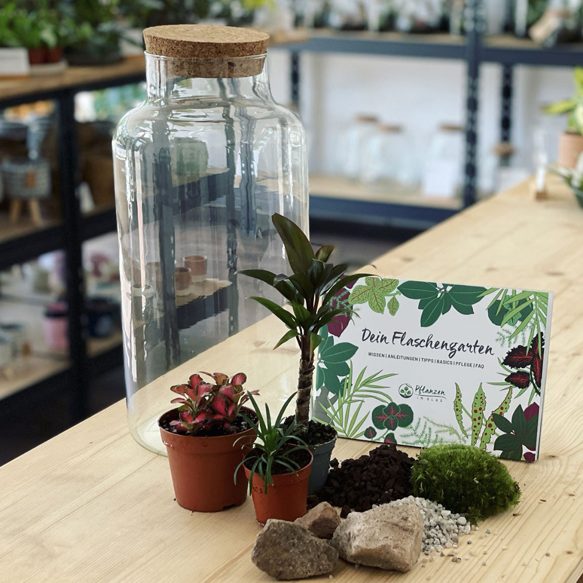Flaschengarten ‚Bäumchen - Cordyline‘-DIY-Set – pflanzen-im-glas.de