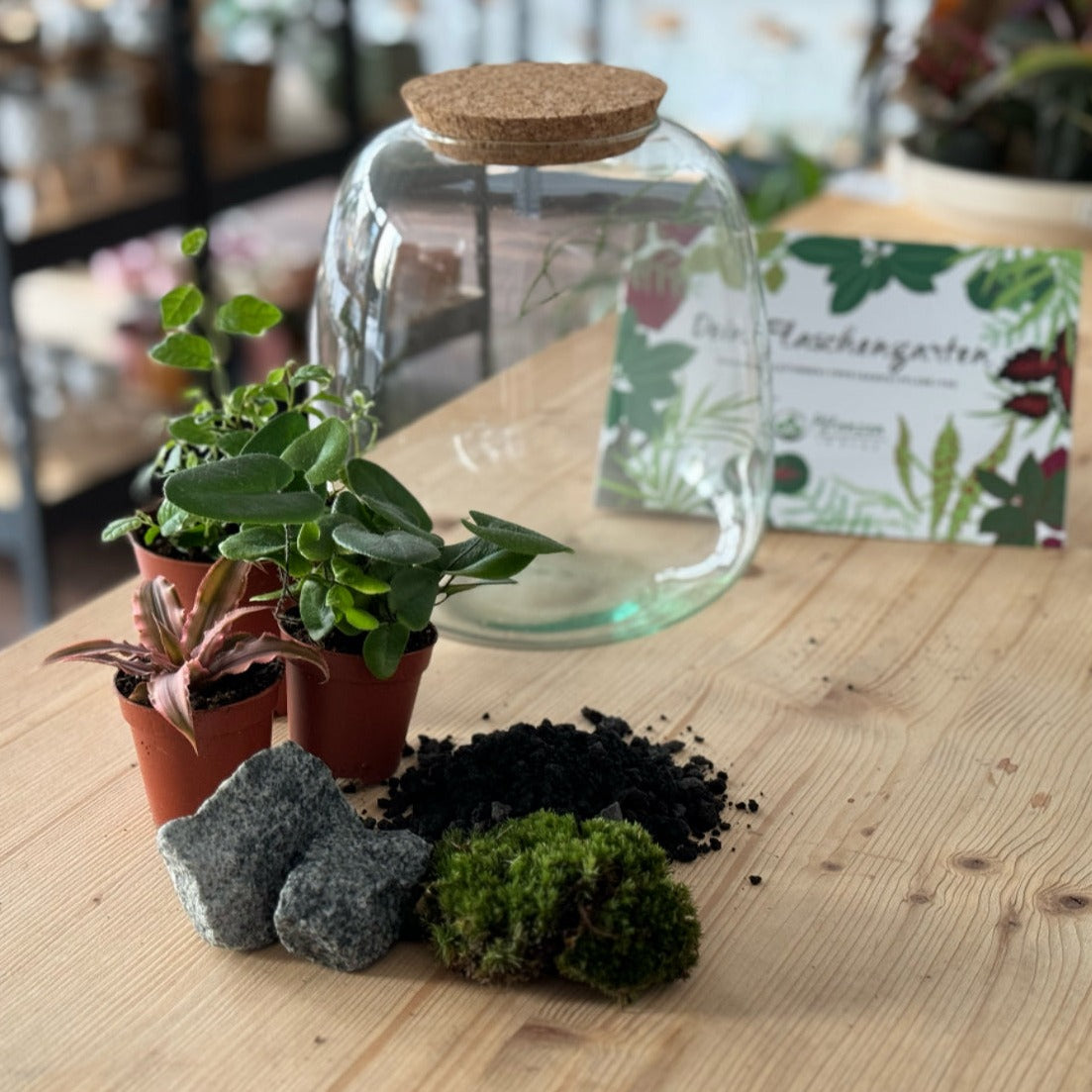 Flaschengarten DIY-Sets – pflanzen-im-glas.de