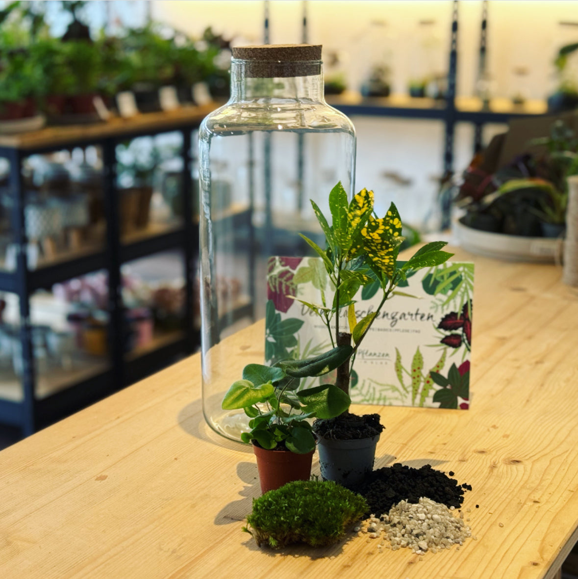Flaschengarten DIY-Sets – pflanzen-im-glas.de