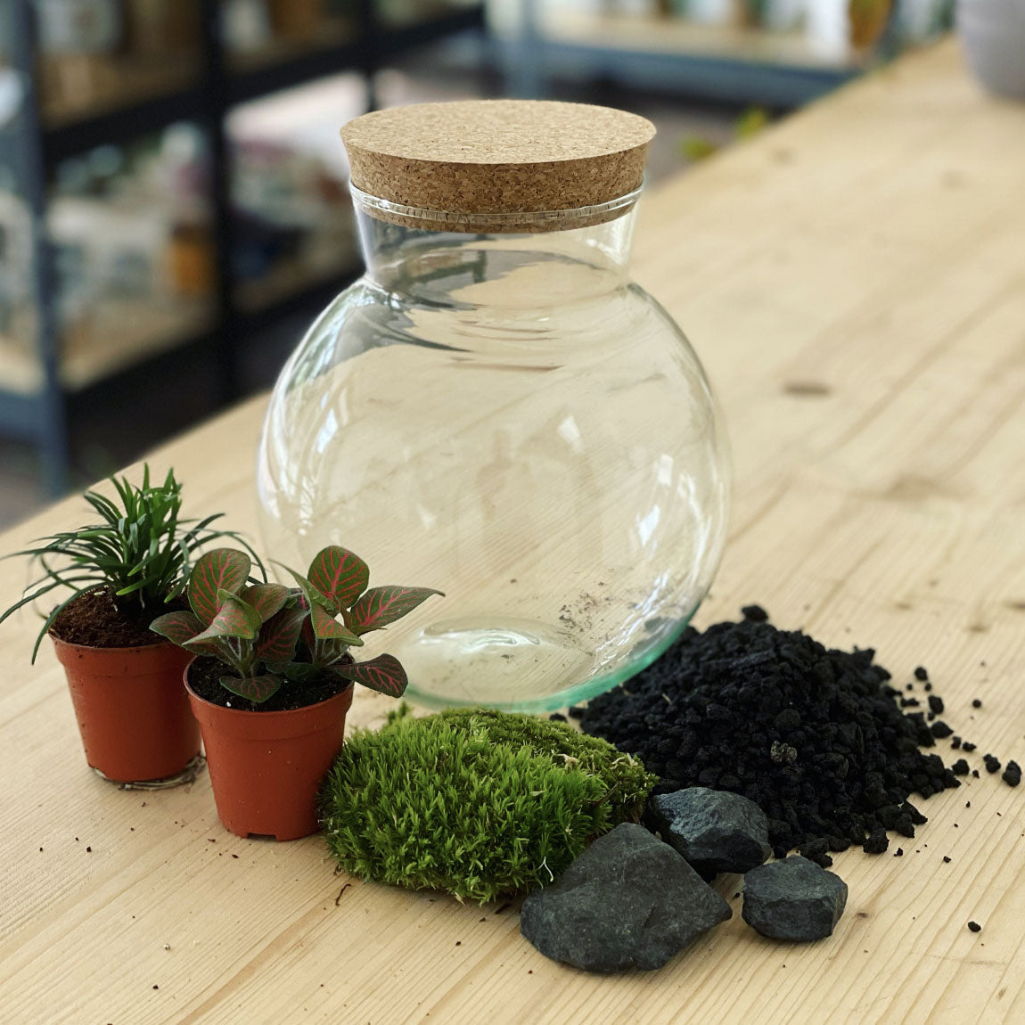 Flaschengarten ‚Plant Bowl Klein‘ - DIY-Set
